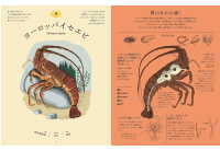 食べた後どうなっているのか図鑑(べスタール)