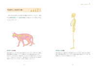 なぜ人の体はこんなにつくりが悪いのか(飯島治之)