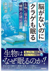 脳がないのにクラゲも眠る(粂和彦)