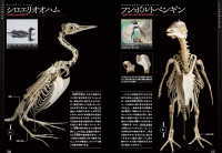 鳥の骨格標本図鑑 改訂版(川上和人)